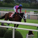 ［ステイヤーズS］親子2代で横綱相撲。メジロブライト産駒マキハタサイボーグの2007年ステイヤーズSを振り返る。