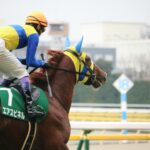 君と感じた爽やかな風を想う〜私の青春、エアスピネル〜