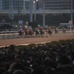 絶対王者に食らいつく、ハナ差のマッチレース。スマートファルコンvsワンダーアキュートが火花を散らした2011年東京大賞典を振り返る。