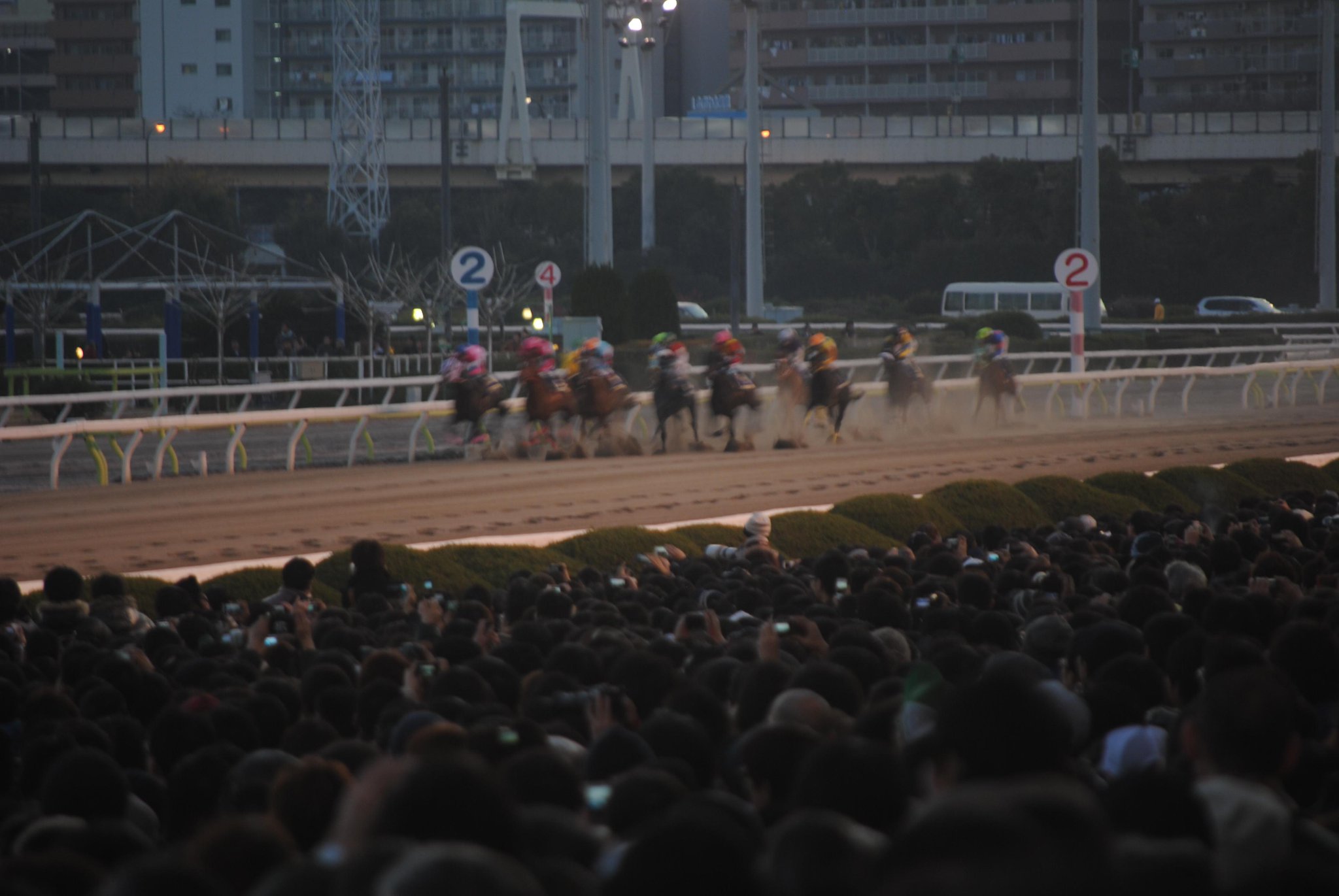 絶対王者に食らいつく、ハナ差のマッチレース。スマートファルコンvsワンダーアキュートが火花を散らした2011年東京大賞典を振り返る。