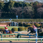 ［引退名馬］おかえり、さよなら、オジュウチョウサン