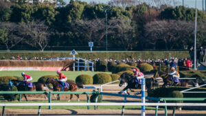 ［引退名馬］おかえり、さよなら、オジュウチョウサン | ウマフリ | 競馬コラム＆ニュース