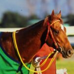 ［全日本2歳優駿］アグネスデジタルにラブミーチャン、ルヴァンスレーヴ…ダートの2歳王者決定戦で輝いた名馬たち。