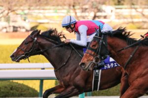 ［NZT］2歳王者ドルチェモアが始動。しかし迎え撃つ牝馬勢も豪華な顔ぶれに。 - 重賞プレビュー