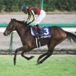 カズ君とドリームジャーニー - 朝日杯フューチュリティステークス