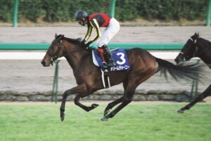 カズ君とドリームジャーニー - 朝日杯フューチュリティステークス