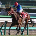 ［ドバイWCデー］日本馬が多く揃った大注目の一戦！海を渡った日本馬たちを一挙に大紹介！
