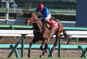 ［香港カップ／香港ヴァーズ］G1レース直前プレビュー