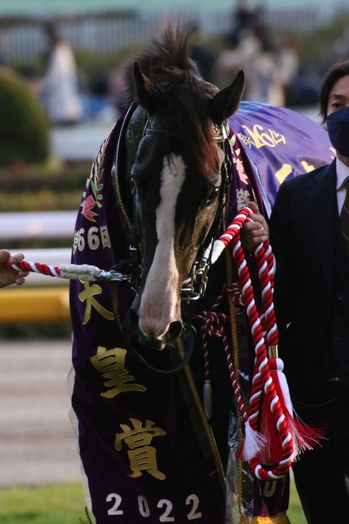 イクイノックスの躍動、若手騎手の台頭、今村聖奈騎手の飛躍…。2022年中央競馬トピックスを振り返る。 | ウマフリ | 競馬コラム＆ニュース