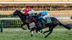 ［重賞回顧］賭けの一手が道を開く！翼を広げたニュースター〜2023年・フェアリーS〜