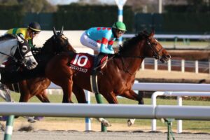 ［重賞回顧］名古屋の砂埃を巻き上げて、いざ府中へ〜2023年・東海S〜