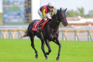 ［愛知杯］マリアエレーナ、アートハウス、アンドヴァラナウト…歴代屈指の好メンバーが難解ハンデ戦に集結！ - 重賞プレビュー