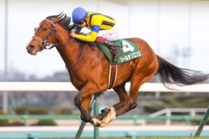 ［皐月賞］いよいよ到来した牡馬クラシック第一戦。大混戦を制するのはどの馬か。 - 重賞プレビュー