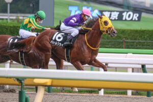 ［根岸S］東京ダート1400Mで4戦4勝のレモンポップが参戦。フェブラリーSに向けてどのような走りを見せるか。 - 重賞プレビュー