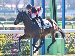 ［新馬戦回顧］メイクデビューの勝者達 - 2023年01月07日(土)-