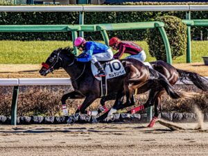 ［新馬戦回顧］メイクデビューの勝者達 - 2023年01月09日(月)-