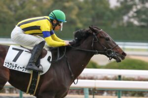 ［新馬戦回顧］メイクデビューの勝者達 - 2023年01月15日(日)-