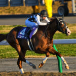 尾張を愛した快速馬、インティ。ダート王まで駆け上がった連勝街道とその後を振り返る。