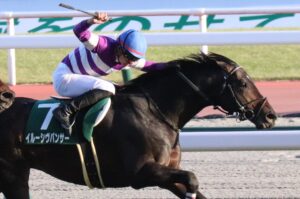 ［重賞回顧］雪辱に燃えるイルーシヴパンサーが、年明けから好発進！～2023年・京都金杯～