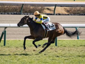 ［新馬戦回顧］メイクデビューの勝者達 - 2023年01月22日(日)-