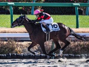 ［新馬戦回顧］メイクデビューの勝者達 - 2023年01月05日(木)-