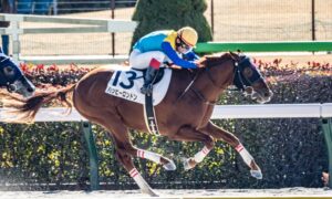 ［新馬戦回顧］メイクデビューの勝者達 - 2023年01月28日(土)-