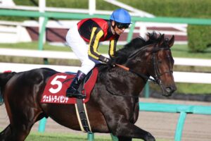 ［日経新春杯］ヴェルトライゼンやヴェローナシチーら実力派が集結も、波乱の予感がするハンデ重賞！ - 重賞プレビュー