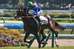 ［京成杯］少頭数ながらも粒揃い！第二のエイシンフラッシュ・キングカメハメハを目指す3歳馬たちが集結。 - 重賞プレビュー