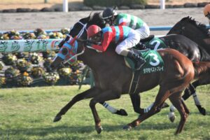 「タマモ」のメンコときさらぎ賞／タマモベストプレイ