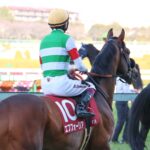 ダービー馬になる難しさ、そして古馬との対決…。エフフォーリアの現役時代を振り返る。