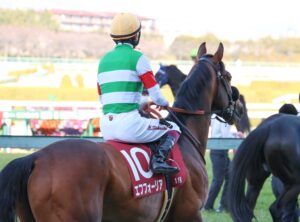 競馬　エフフォーリア　引退記念メモリアルウォッチ　新品未使用品 引退記念メモリアルウォッチ〈エフフォーリア〉発売🎁 エフ