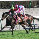 コスモバルクと見続けた「次への夢」。判官贔屓な私が目撃した、コスモバルクの弥生賞。