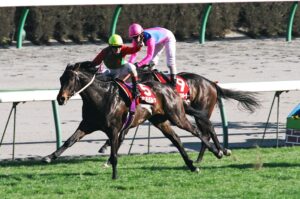 コスモバルクと見続けた「次への夢」。判官贔屓な私が目撃した、コスモバルクの弥生賞。