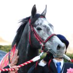 ［2019年・中山記念］ウインブライトによる連覇、そこから巣立った名馬たちの軌跡を振り返る。