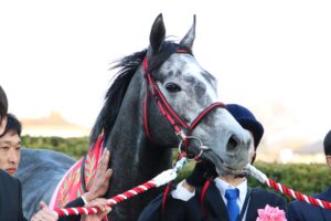 ［2019年・中山記念］ウインブライトによる連覇、そこから巣立った名馬たちの軌跡を振り返る。