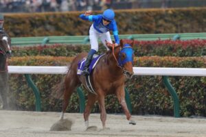 ［重賞回顧］超新星レモンポップがダート界の頂点に。～2023年・フェブラリーＳ～