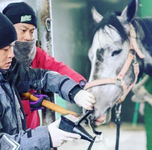 ［連載・馬主は語る］地方競馬共有馬主クラブ（オーナーズ）に入る（シーズン2-2）