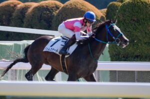 ［新馬戦回顧］メイクデビューの勝者達 - 2023年02月11日(土)-