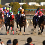 ［フェブラリーSヒストリックトリビア］キーワードは数字の"2"！？過去のレースで絡んできた不思議な数字を探る。