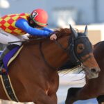 ［牝系図鑑］テーオーケインズ、レディパステルらを輩出。豊富なスタミナが武器のピンクタートル牝系。