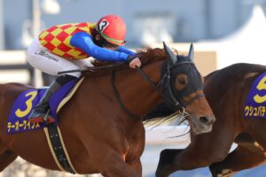 ［牝系図鑑］テーオーケインズ、レディパステルらを輩出。豊富なスタミナが武器のピンクタートル牝系。