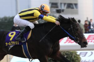 オールブラッシュ - 2017年の川崎記念で炸裂した“ルメールマジック”