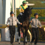 ダービー挑戦、強豪との激突、そして愛される誘導馬に…。サクセスブロッケンの生涯を振り返る。