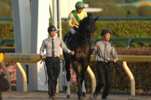 ダービー挑戦、強豪との激突、そして愛される誘導馬に…。サクセスブロッケンの生涯を振り返る。