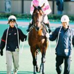 ［フェブラリーS］トーシンブリザード、フリオーソ…砂の頂で夢の扉に手をかけた地方2頭の激闘を振り返る。