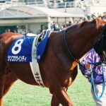 その馬、凶暴につき - "噛みつき癖"を持つシンコウウインディが制した、GⅠ昇格第1回目のフェブラリーステークスを振り返る。