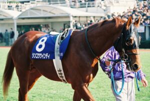 その馬、凶暴につき - "噛みつき癖"を持つシンコウウインディが制した、ＧⅠ昇格第１回目のフェブラリーステークスを振り返る。