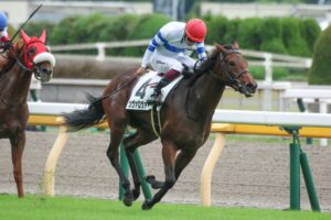 ［クイーンC］スターズオンアースやクロノジェネシス、メジャーエンブレムに続け！アパパネの娘アスパルディーコらが集結。 - 重賞プレビュー