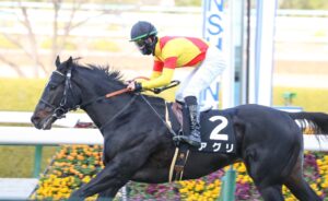 ［阪急杯］実績のグレナディアガーズ、勢いのアグリ。本気度の高いメンバーが揃った興味深い一戦に。 - 重賞プレビュー