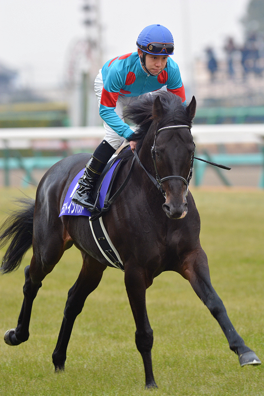 消えかかっていた、偉大な血を携えて。ラストインパクトの挑戦を振り返る。 | ウマフリ | 競馬コラム＆ニュース